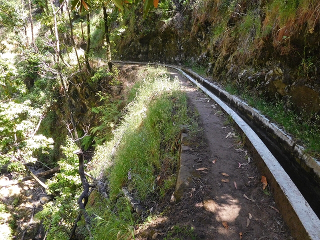 20.06.2016 Levada da Serra da Ponte do Pargo-Levada Nova-Rundtour — Zurück auf der Levada Nova — Foto 24