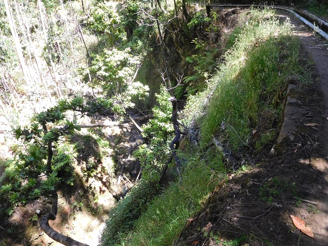 20.06.2016 Levada da Serra da Ponte do Pargo-Levada Nova-Rundtour — Zurück auf der Levada Nova — Foto 25