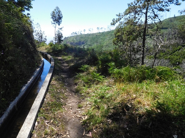 Levada Nova — Ponta do Pargo, Ribeira dos Moinhos — Foto 1