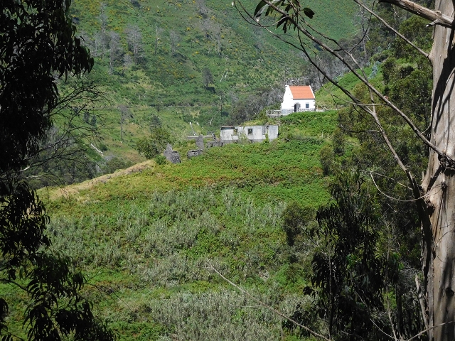 20.06.2016 Levada da Serra da Ponte do Pargo-Levada Nova-Rundtour — Zurück auf der Levada Nova — Foto 28