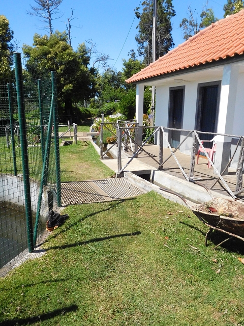 20.06.2016 Levada da Serra da Ponte do Pargo-Levada Nova-Rundtour — Rund ums Levadahaus an der Levada Nova — Foto 5