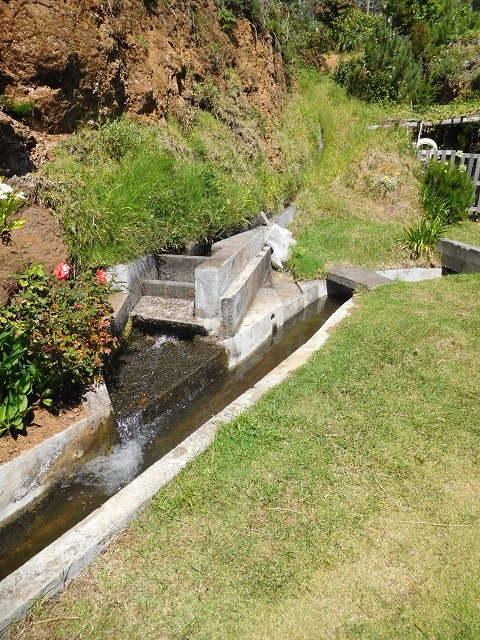 20.06.2016 Levada da Serra da Ponte do Pargo-Levada Nova-Rundtour — Rund ums Levadahaus an der Levada Nova — Foto 6