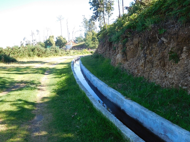 20.06.2016 Levada da Serra da Ponte do Pargo-Levada Nova-Rundtour — Von der Levada Nova entlang der Forstpiste — Foto 2