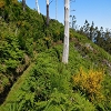 20.06.2016 Levada da Serra da Ponte do Pargo-Levada Nova-Rundtour — Durch den Farn bis zur Bachpassage — Foto 7
