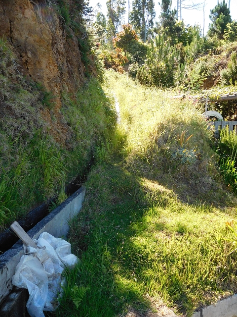 20.06.2016 Levada da Serra da Ponte do Pargo-Levada Nova-Rundtour — Von der Levada Nova entlang der Forstpiste — Foto 5