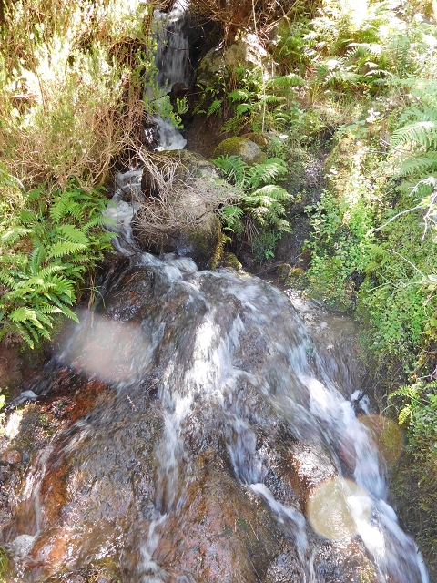 20.06.2016 Levada da Serra da Ponte do Pargo-Levada Nova-Rundtour — Umgehung der Bachpassage — Foto 1