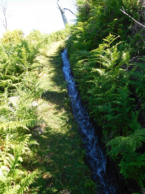 20.06.2016 Levada da Serra da Ponte do Pargo-Levada Nova-Rundtour — Umgehung der Bachpassage — Foto 7