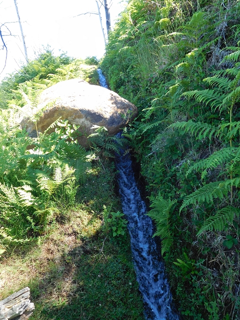 20.06.2016 Levada da Serra da Ponte do Pargo-Levada Nova-Rundtour — Durch den Farn bis zur Verzweigung der beiden Äste — Foto 2