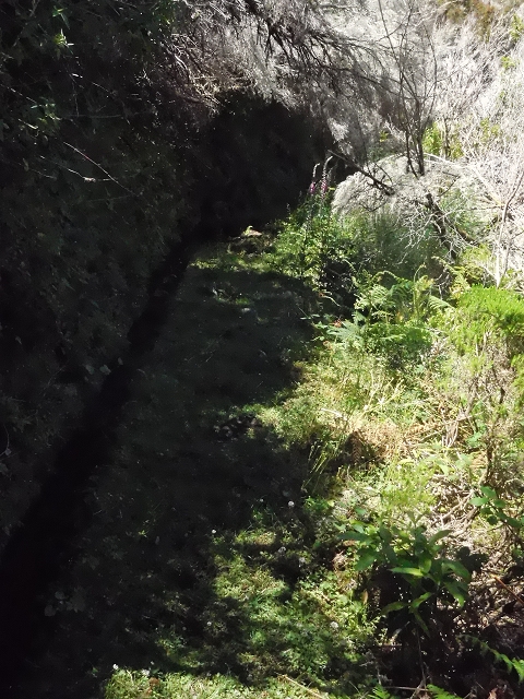 20.06.2016 Levada da Serra da Ponte do Pargo-Levada Nova-Rundtour — Oberer Ast bis zur neuen Madre und zurück — Foto 22
