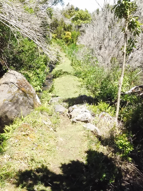20.06.2016 Levada da Serra da Ponte do Pargo-Levada Nova-Rundtour — Oberer Ast bis zur neuen Madre und zurück — Foto 24