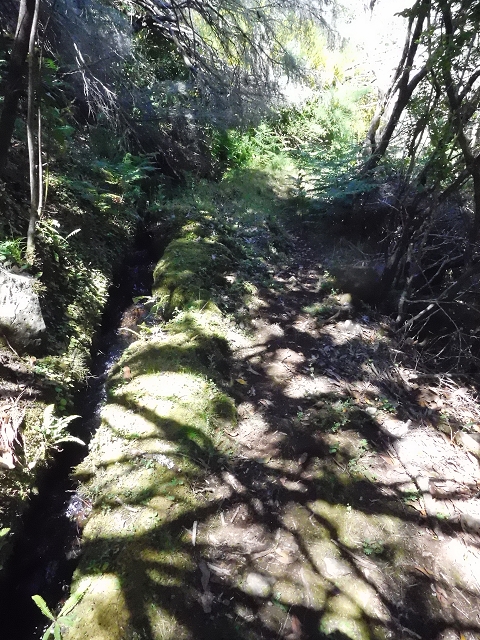 20.06.2016 Levada da Serra da Ponte do Pargo-Levada Nova-Rundtour — Oberer Ast bis zur neuen Madre und zurück — Foto 25