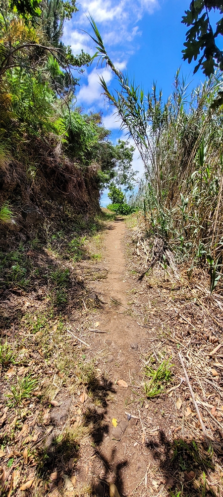 20.06.2022 Klassiker um Paul do Mar — Capela de Sao Lourenco and on the way to Raposeira — photo 4