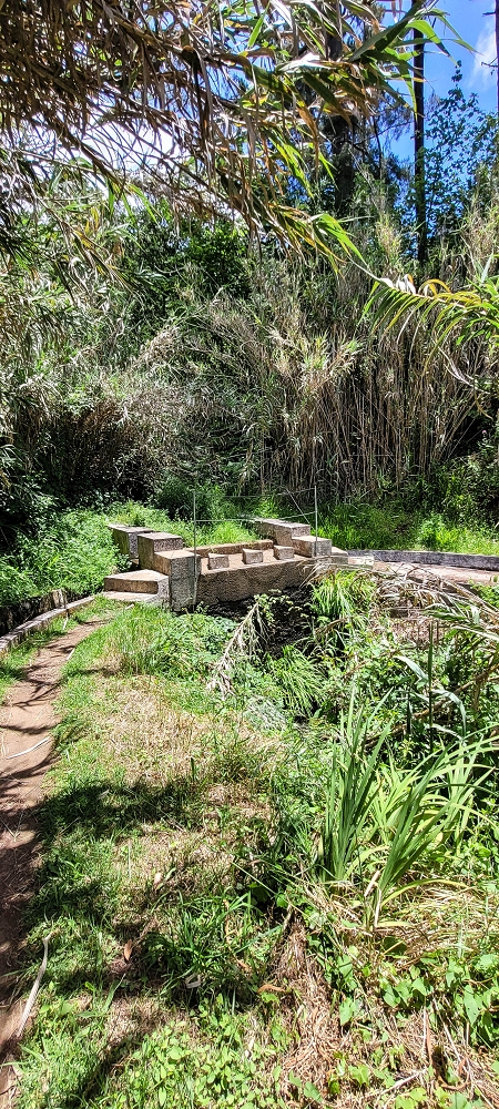 Levada Nova — Zwischen Prazeres und Faja da Ovelha — Foto 3