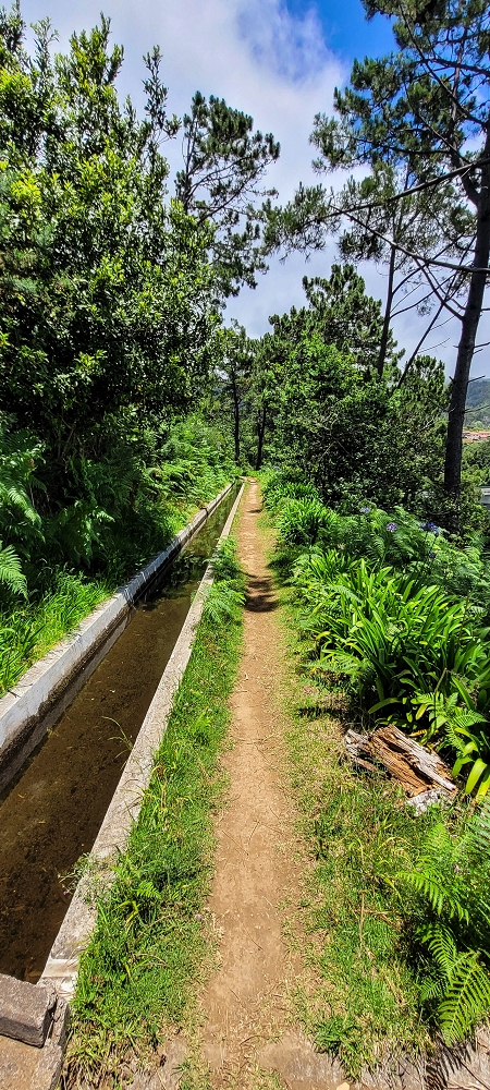 Levada Nova — Zwischen Prazeres und Faja da Ovelha — Foto 4