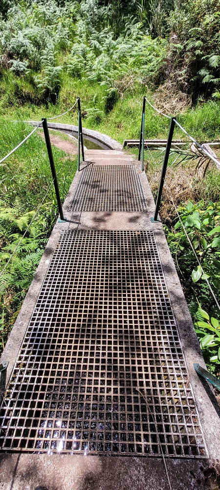 Levada Nova — Zwischen Prazeres und Faja da Ovelha — Foto 6