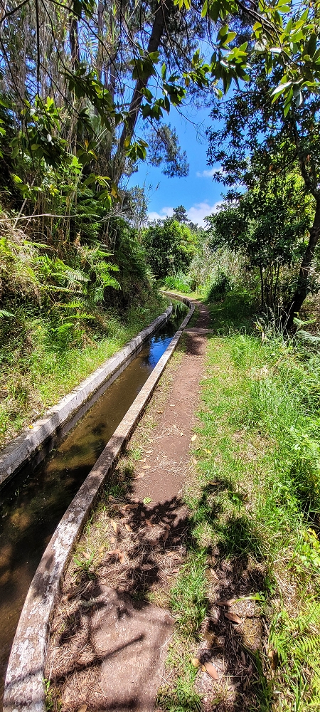 Levada Nova — Zwischen Prazeres und Faja da Ovelha — Foto 7
