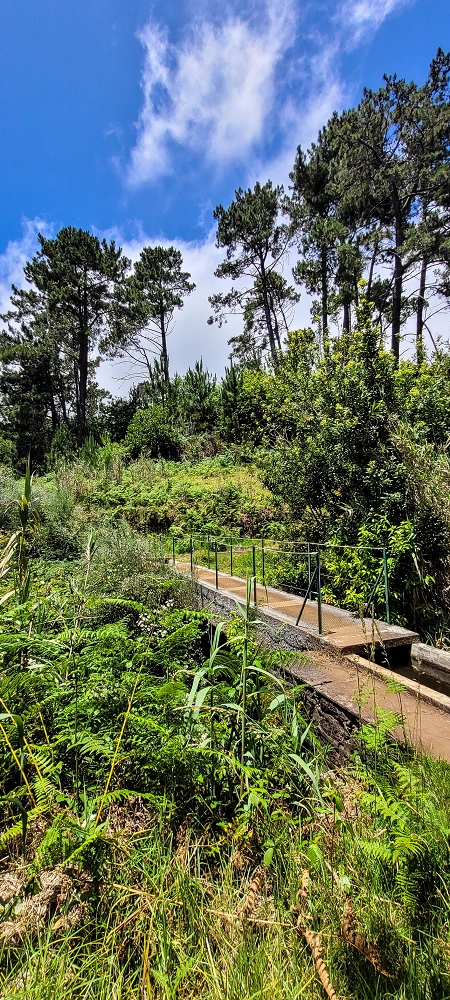 Levada Nova — Zwischen Prazeres und Faja da Ovelha — Foto 8