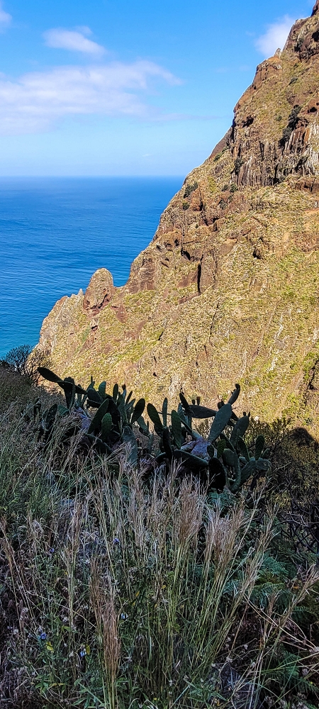 20.06.2022 Klassiker um Paul do Mar — Descent to Paul do Mar — photo 8