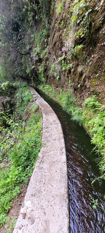 20 de junho de 2024 Túnel da Levada da Rocha Vermelha, a lagoa verde e o Furado Velho — Da entrada do túnel até à ponte — foto 8