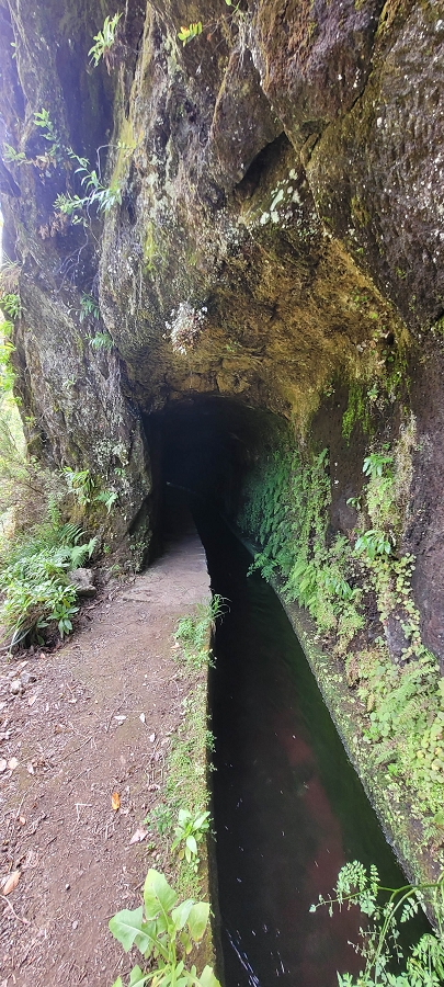20 de junho de 2024 Túnel da Levada da Rocha Vermelha, a lagoa verde e o Furado Velho — Da entrada do túnel até à ponte — foto 9