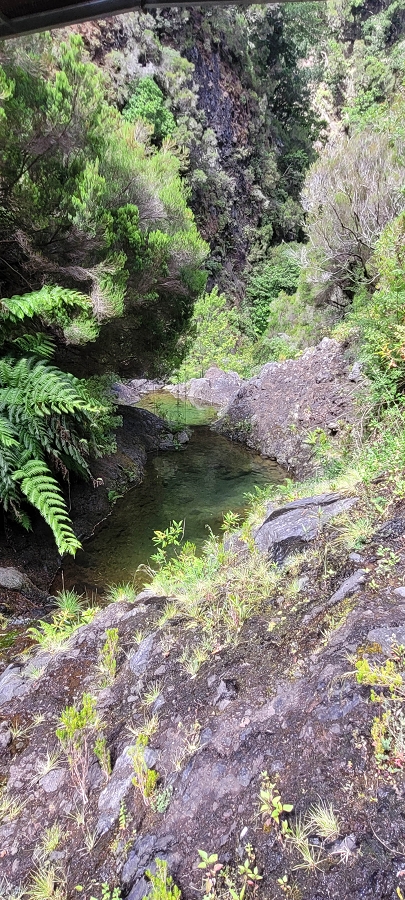 20 de junho de 2024 Túnel da Levada da Rocha Vermelha, a lagoa verde e o Furado Velho — Lagoa Verde — foto 2