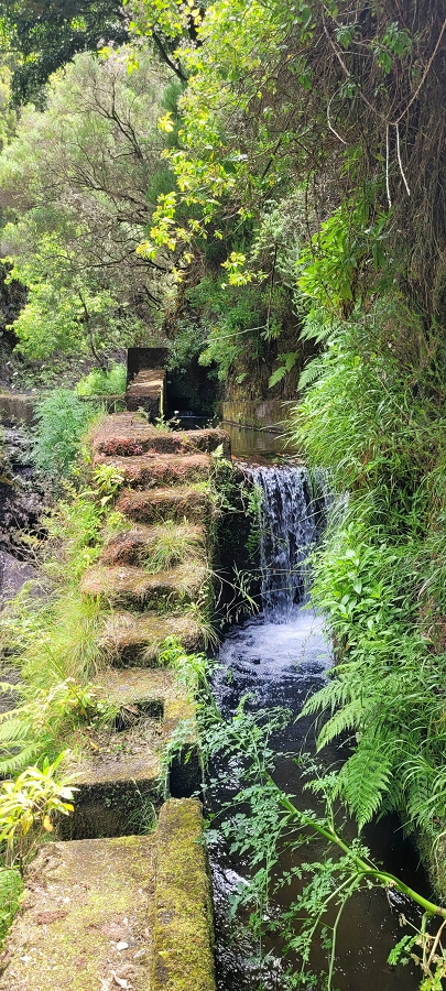 20 de junho de 2024 Túnel da Levada da Rocha Vermelha, a lagoa verde e o Furado Velho — Lagoa Verde — foto 3