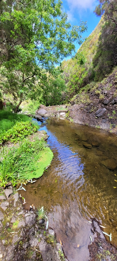 20 de junho de 2024 Túnel da Levada da Rocha Vermelha, a lagoa verde e o Furado Velho — Lagoa Verde — foto 4