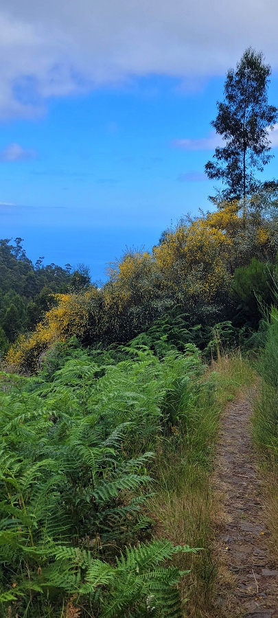 20 de junho de 2024 Túnel da Levada da Rocha Vermelha, a lagoa verde e o Furado Velho — Descida até à saída do longo túnel da Rocha Vermelha — foto 2