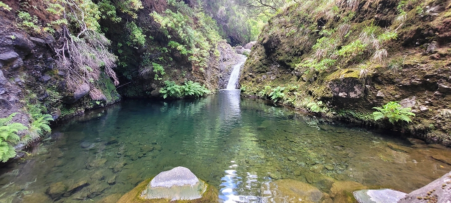 20 de junho de 2024 Túnel da Levada da Rocha Vermelha, a lagoa verde e o Furado Velho — Lagoa Verde — foto 6