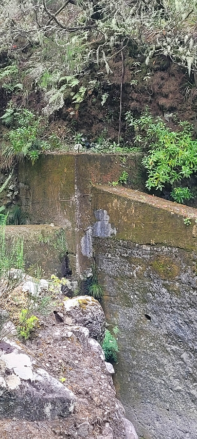 20 de junho de 2024 Túnel da Levada da Rocha Vermelha, a lagoa verde e o Furado Velho — Lagoa Verde — foto 11