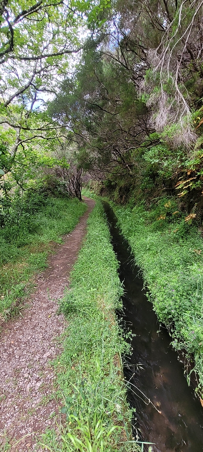 20 de junho de 2024 Túnel da Levada da Rocha Vermelha, a lagoa verde e o Furado Velho — Lagoa Verde — foto 12