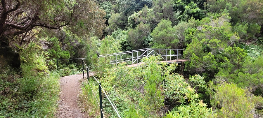 20 de junho de 2024 Túnel da Levada da Rocha Vermelha, a lagoa verde e o Furado Velho — Lagoa Verde — foto 13