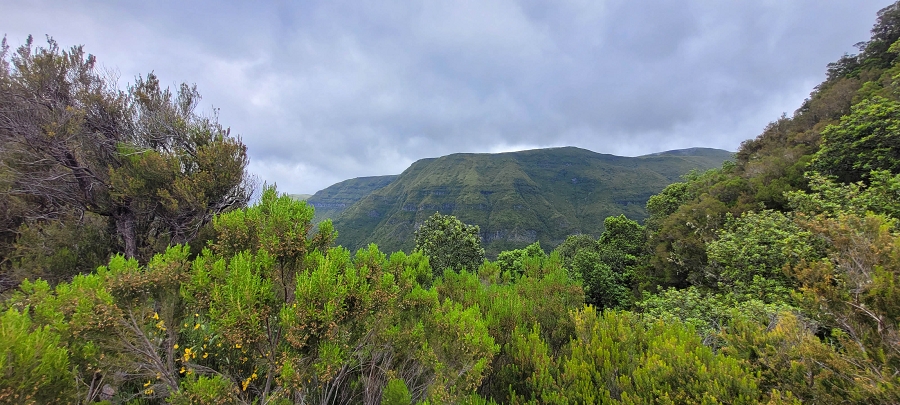 20 de junho de 2024 Túnel da Levada da Rocha Vermelha, a lagoa verde e o Furado Velho — Até ao Furado Velho — foto 5