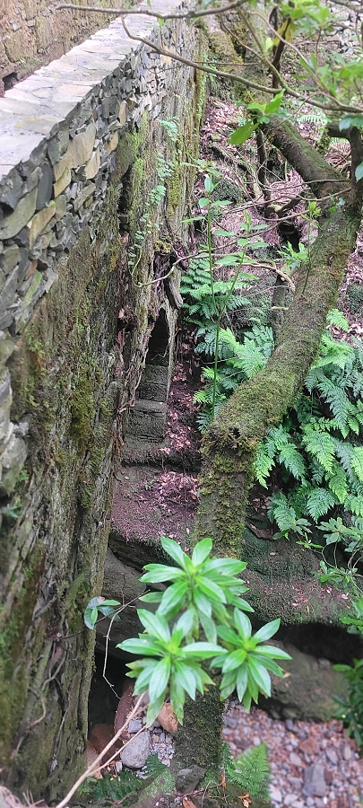 20 de junho de 2024 Túnel da Levada da Rocha Vermelha, a lagoa verde e o Furado Velho — Até ao Furado Velho — foto 8