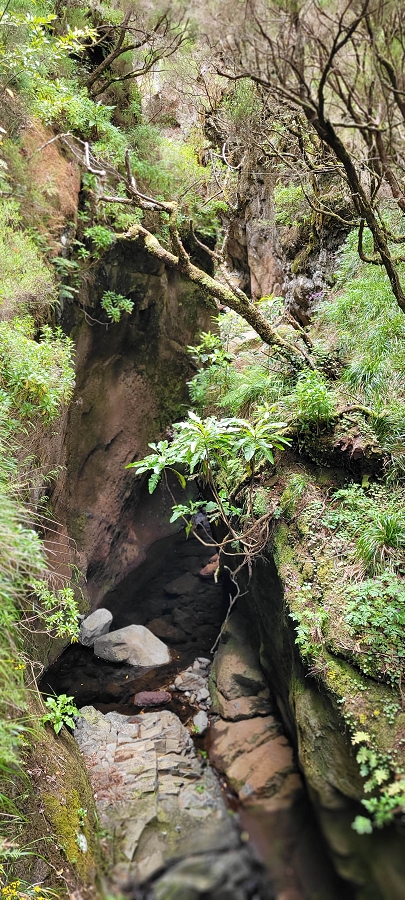 20 de junho de 2024 Túnel da Levada da Rocha Vermelha, a lagoa verde e o Furado Velho — Até ao Furado Velho — foto 9