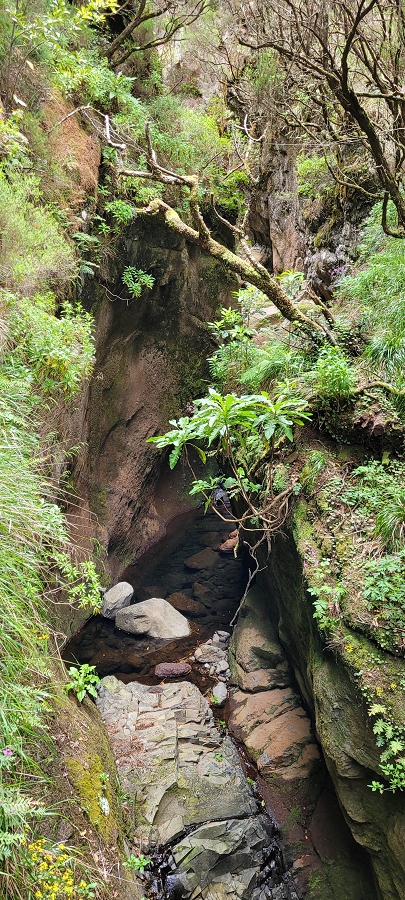 20 de junho de 2024 Túnel da Levada da Rocha Vermelha, a lagoa verde e o Furado Velho — Até ao Furado Velho — foto 10