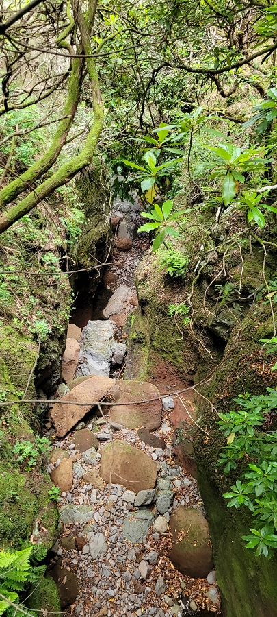20 de junho de 2024 Túnel da Levada da Rocha Vermelha, a lagoa verde e o Furado Velho — Até ao Furado Velho — foto 11