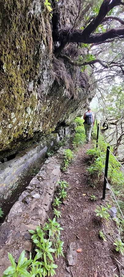 20 de junho de 2024 Túnel da Levada da Rocha Vermelha, a lagoa verde e o Furado Velho — Até ao Furado Velho — foto 15