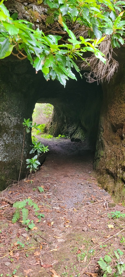 20 de junho de 2024 Túnel da Levada da Rocha Vermelha, a lagoa verde e o Furado Velho — Até ao Furado Velho — foto 18