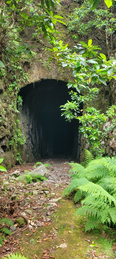 20 de junho de 2024 Túnel da Levada da Rocha Vermelha, a lagoa verde e o Furado Velho — Até ao Furado Velho — foto 19