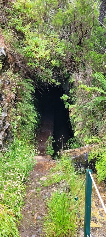 20 de junho de 2024 Túnel da Levada da Rocha Vermelha, a lagoa verde e o Furado Velho — Descida até à saída do longo túnel da Rocha Vermelha — foto 5
