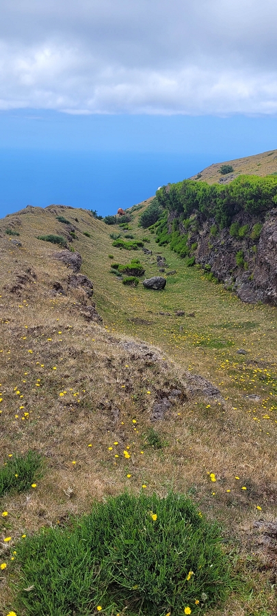 20 de junho de 2024 Túnel da Levada da Rocha Vermelha, a lagoa verde e o Furado Velho — Pico Gordo e regresso pela giesta — foto 3