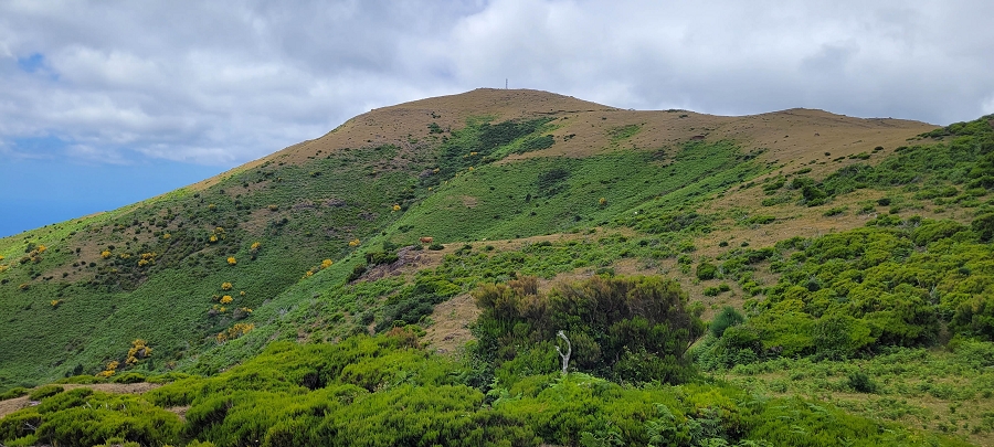 20 de junho de 2024 Túnel da Levada da Rocha Vermelha, a lagoa verde e o Furado Velho — Pico Gordo e regresso pela giesta — foto 4