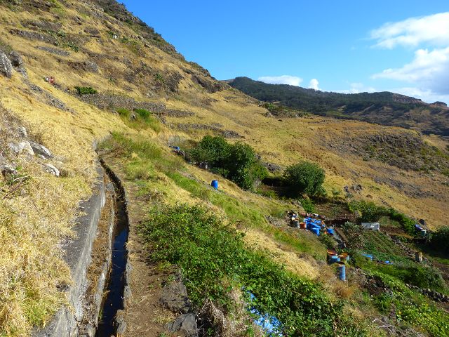 20.07.2014 Canical, Pico Castanho, Pico do Facho, Canical — Auf der Levada do Canical inf. und dem Hauptast zum Canicaltunnel — Foto 1