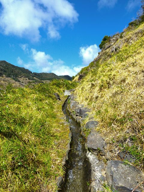 20.07.2014 Canical, Pico Castanho, Pico do Facho, Canical — Auf der Levada do Canical inf. und dem Hauptast zum Canicaltunnel — Foto 10