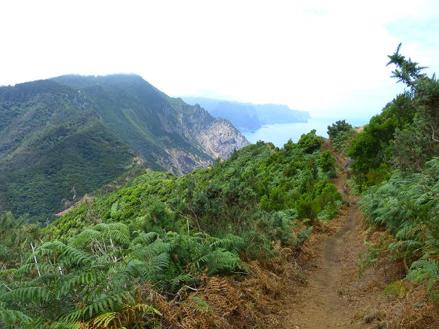 20.07.2014 Canical, Pico Castanho, Pico do Facho, Canical — Aufstieg zum Castanho — Foto 21