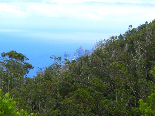 20.07.2014 Canical, Pico Castanho, Pico do Facho, Canical — Aufstieg zum Castanho — Foto 23
