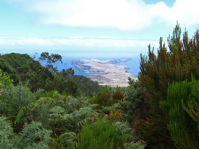 20.07.2014 Canical, Pico Castanho, Pico do Facho, Canical — Aufstieg zum Castanho — Foto 25
