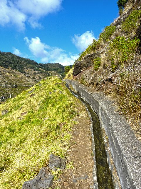 20.07.2014 Canical, Pico Castanho, Pico do Facho, Canical — Auf der Levada do Canical inf. und dem Hauptast zum Canicaltunnel — Foto 11