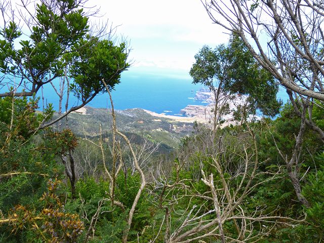 20.07.2014 Canical, Pico Castanho, Pico do Facho, Canical — Aufstieg zum Castanho — Foto 30
